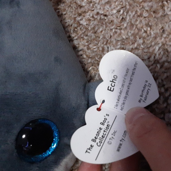 2018 Echo Beanie Boo - Picture 3 of 4